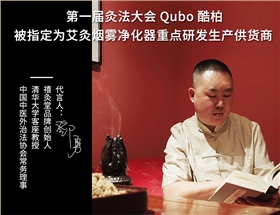 艾灸净烟机代言人