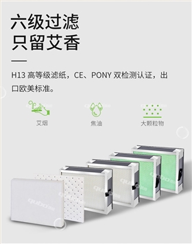 艾灸净烟机TD1000H13滤芯