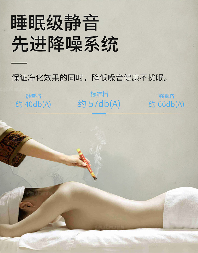 艾灸净烟机TD1000低噪音